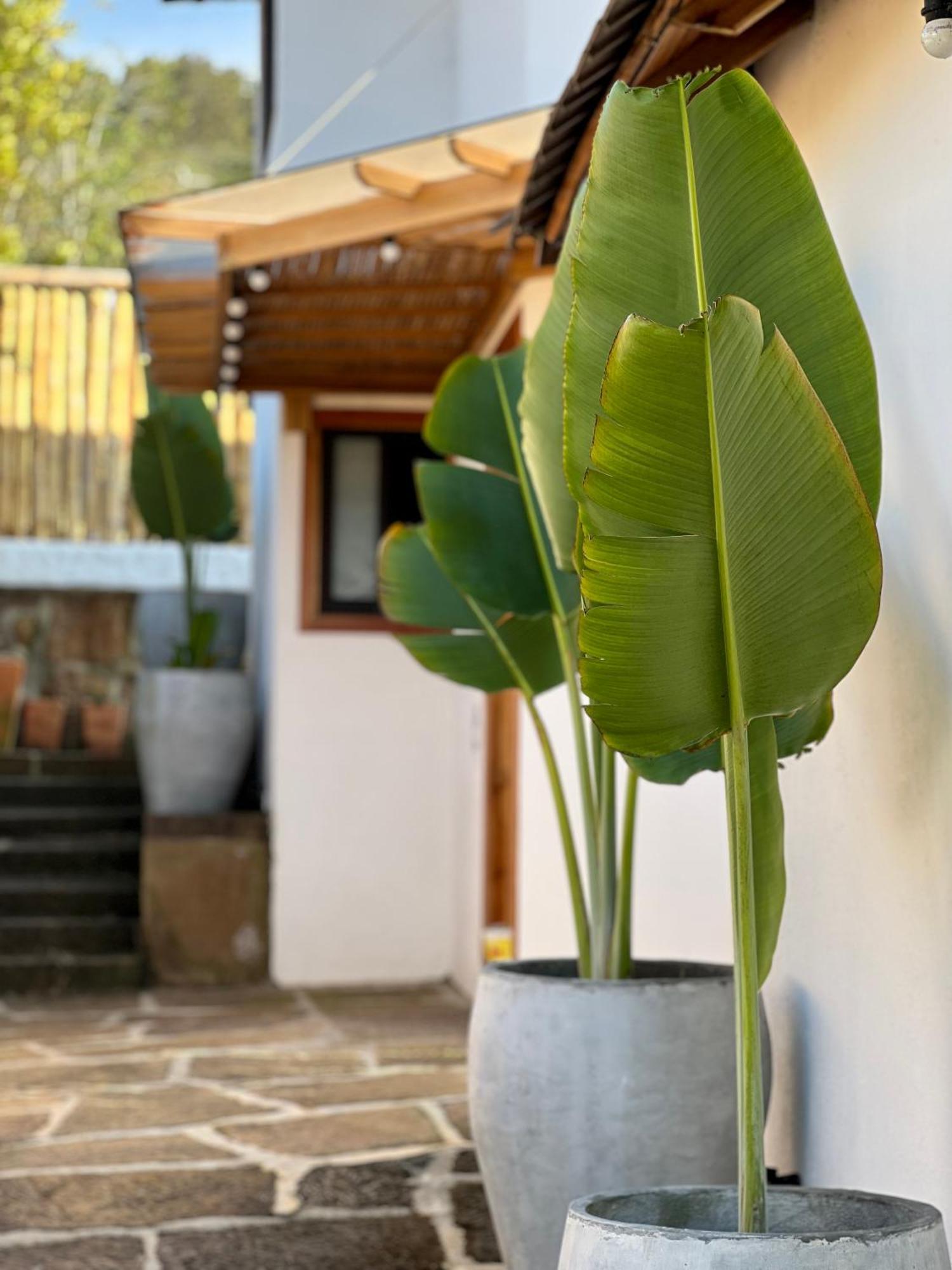 Hotel Campestre Palmas Del Zamorano San Gil Exterior photo